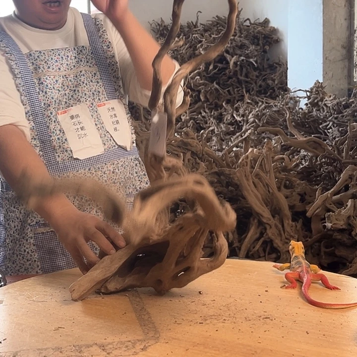 木402556鱼缸造景根雕艺术13