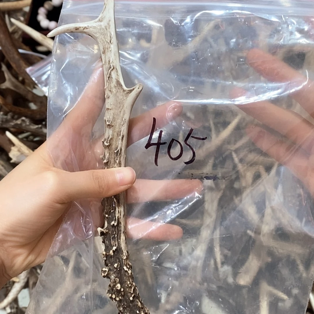 鹿鹿角鹿角鹿角鹿角