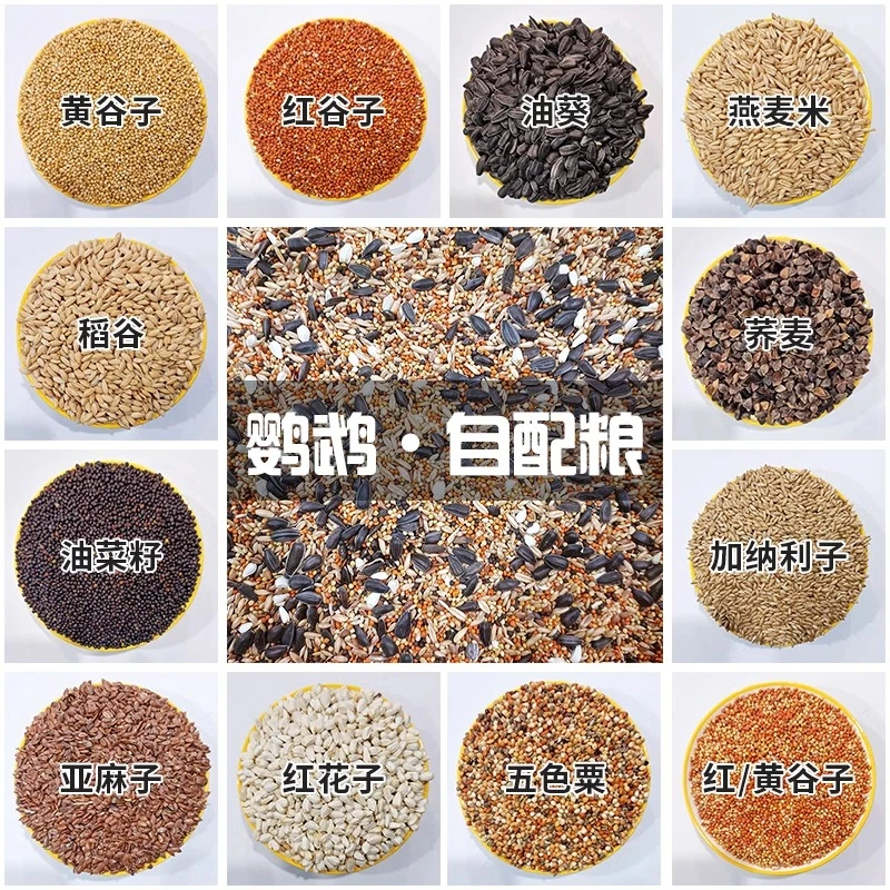 精品鹦鹉种子粮冬季增肥麻子虎皮牡丹玄风小太阳和尚鹦鹉现配新鲜