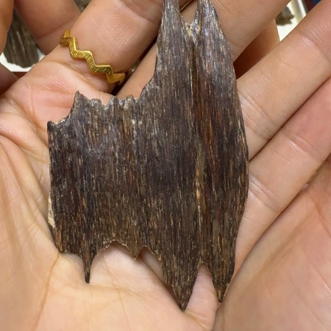 沉香碎屑沉香海南国香高油大瓜子虫漏4.5克