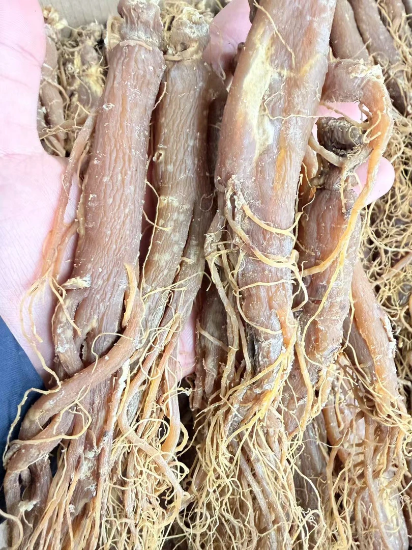 中缅农品---红参