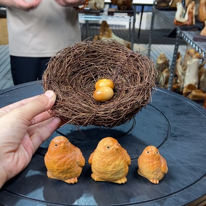 柏木（崖柏）全家福