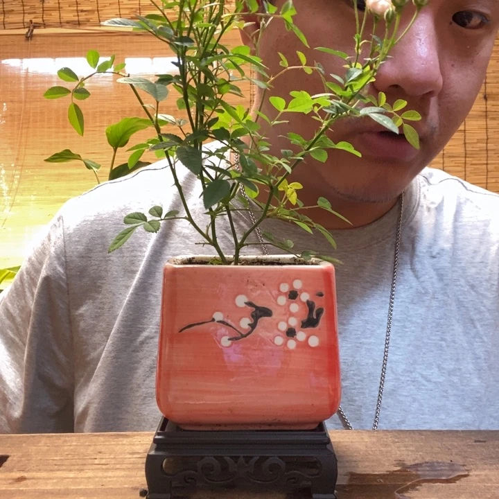 一物一拍所见即所得315