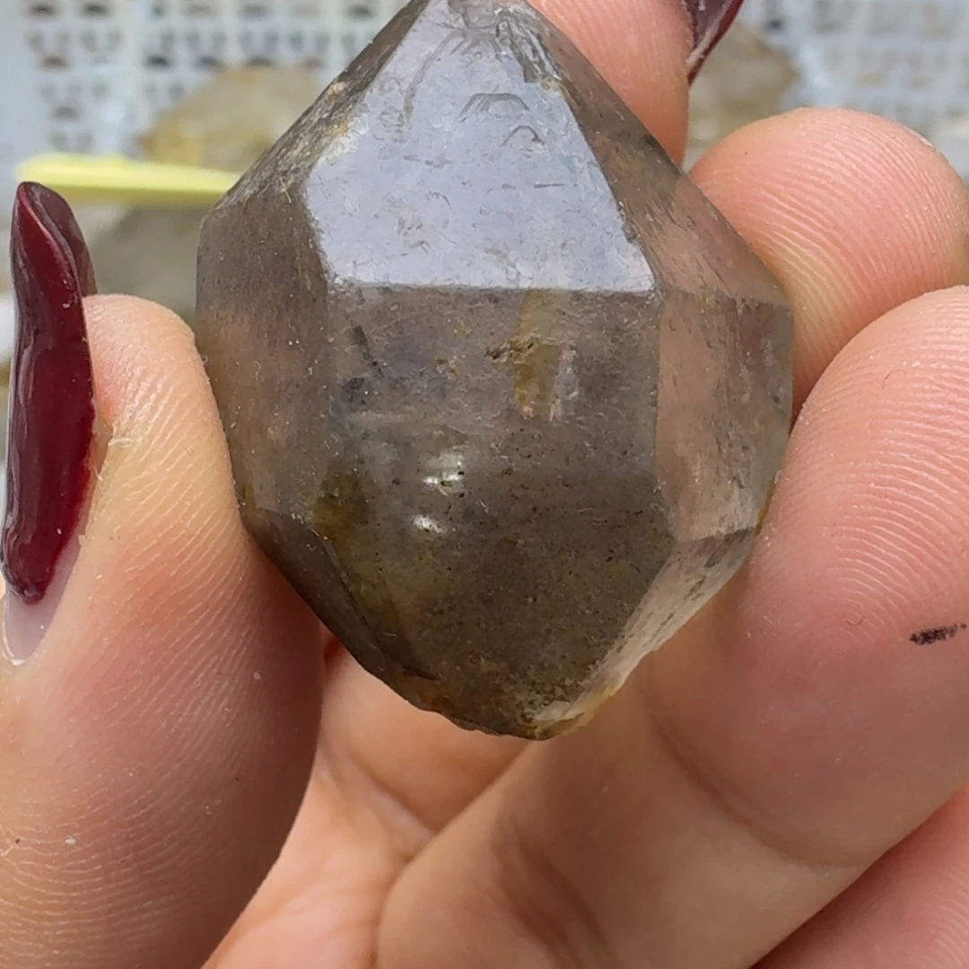 石材四川闪灵黑鲨胆