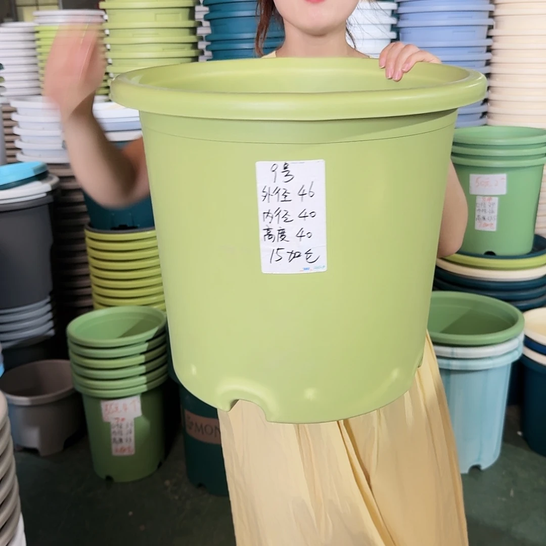 微瑕9#口径46无拖果绿3个