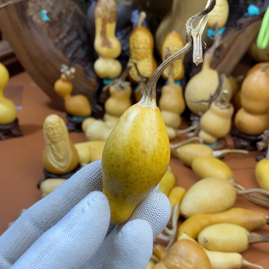 A****教练咯教练咯教练咯