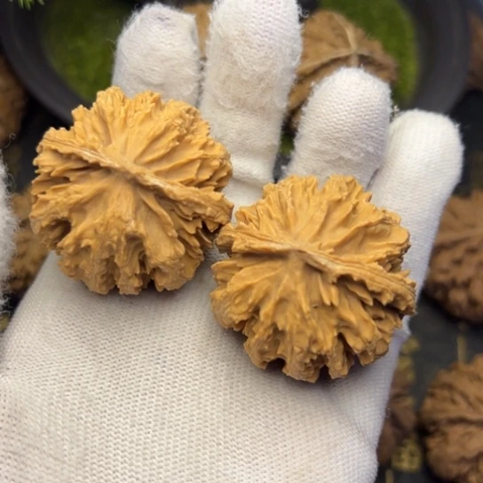 文玩核桃把件秦岭核桃15