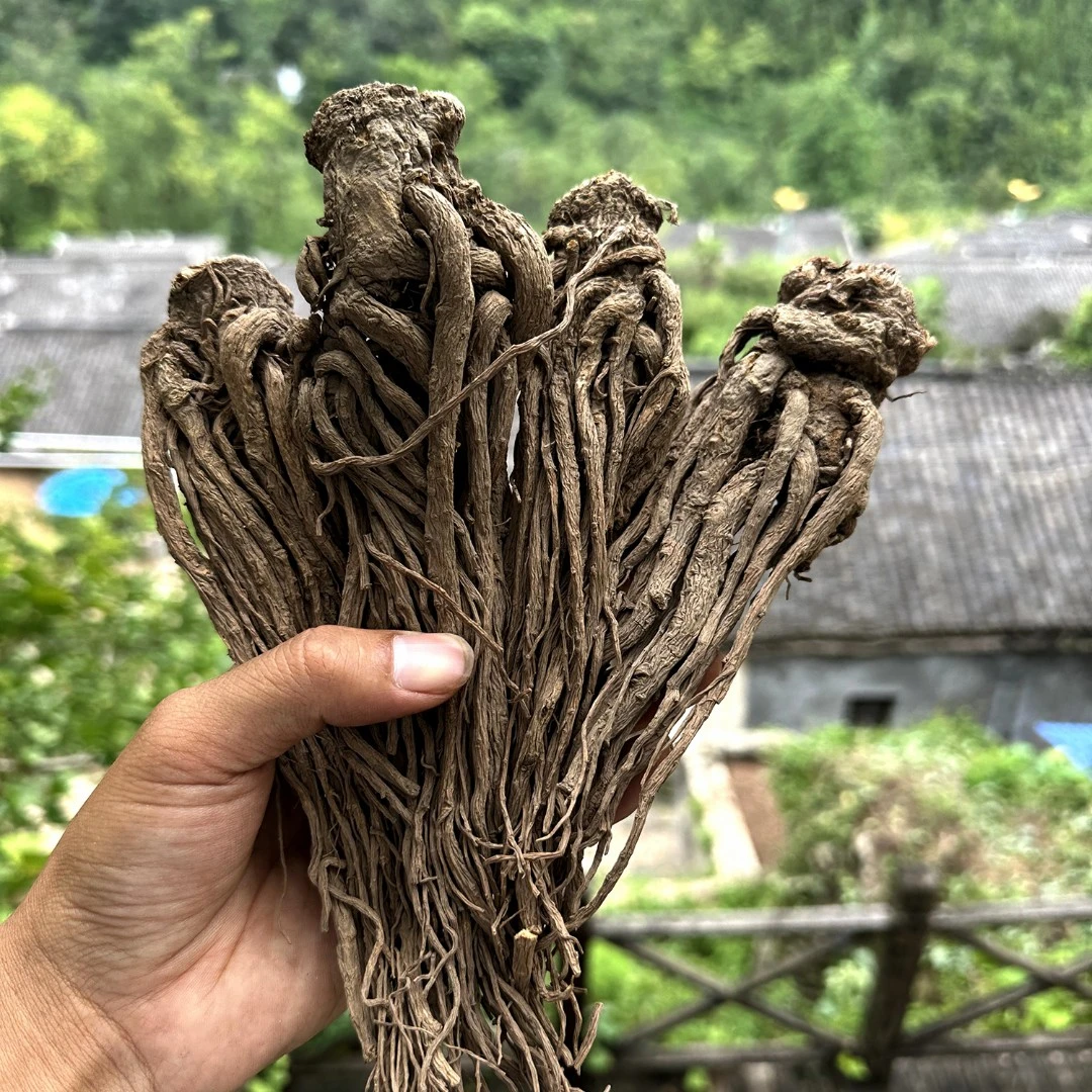 当归    贵州农家山货