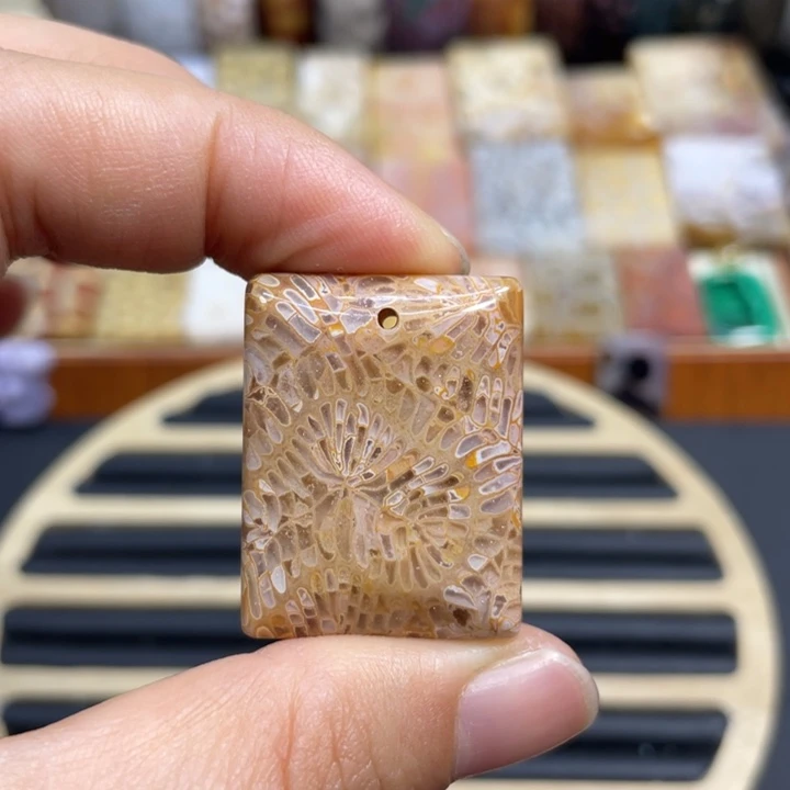 硅化玉未镶嵌颈饰k76