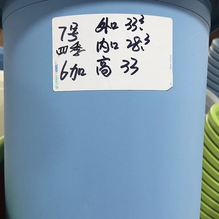 特价7号四季口33高33蓝色4个无托