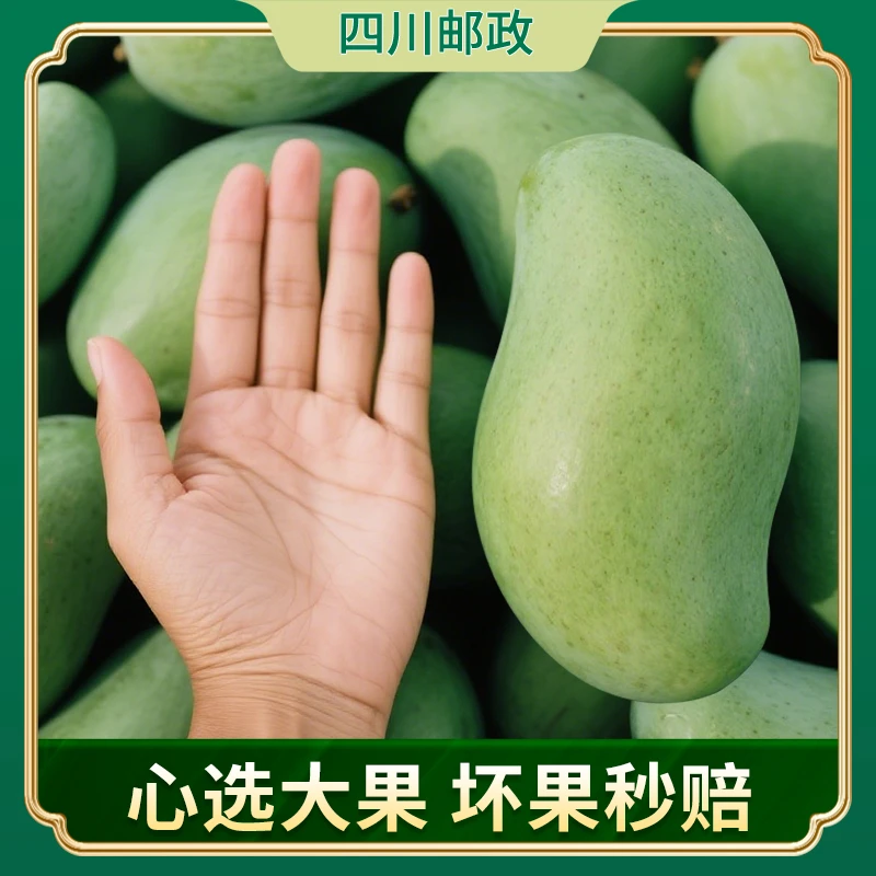 新鲜金煌芒3-5斤水果产地直发新鲜现摘皮薄芒果坏果包赔dr