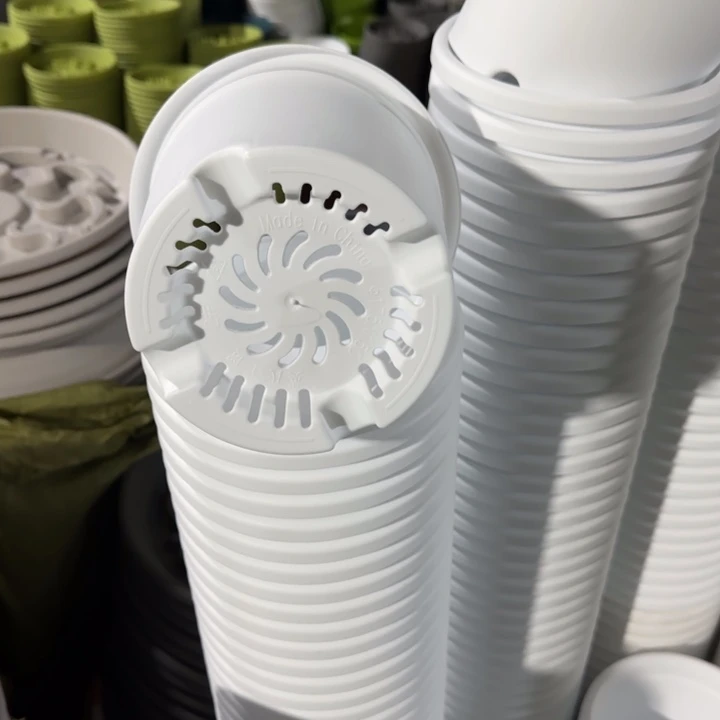 四季2号10个盆10个托白色的