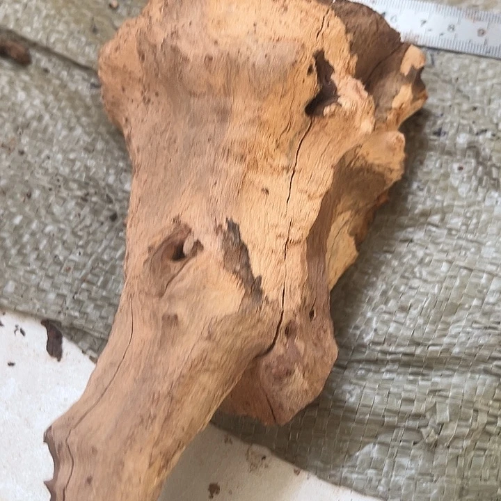 香榧木钱我给你打过去了的啊