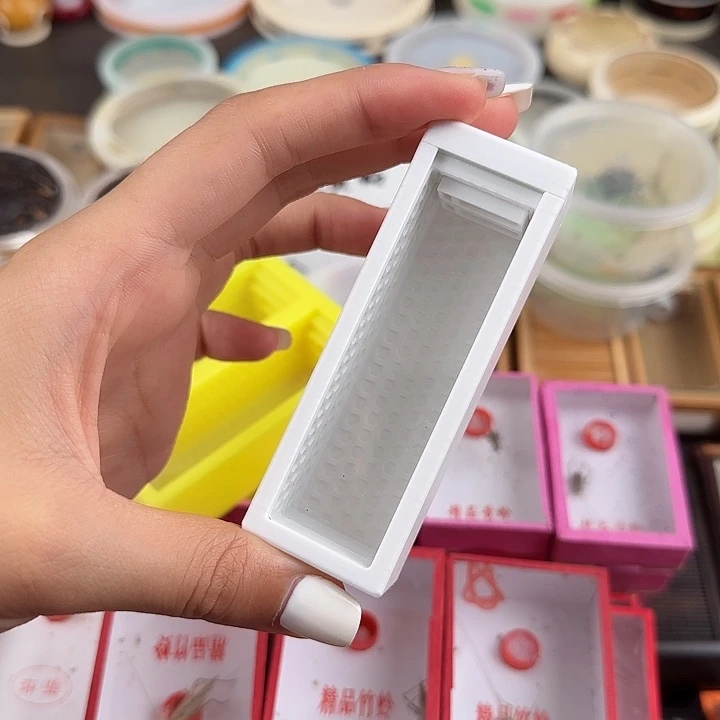 一***争盒子外加两只金蛉子