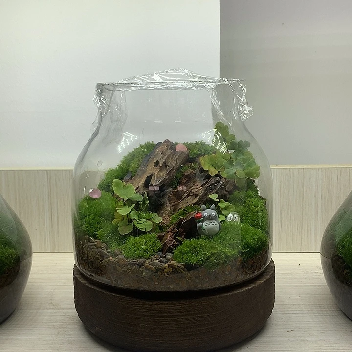 无花朵木底座微景观