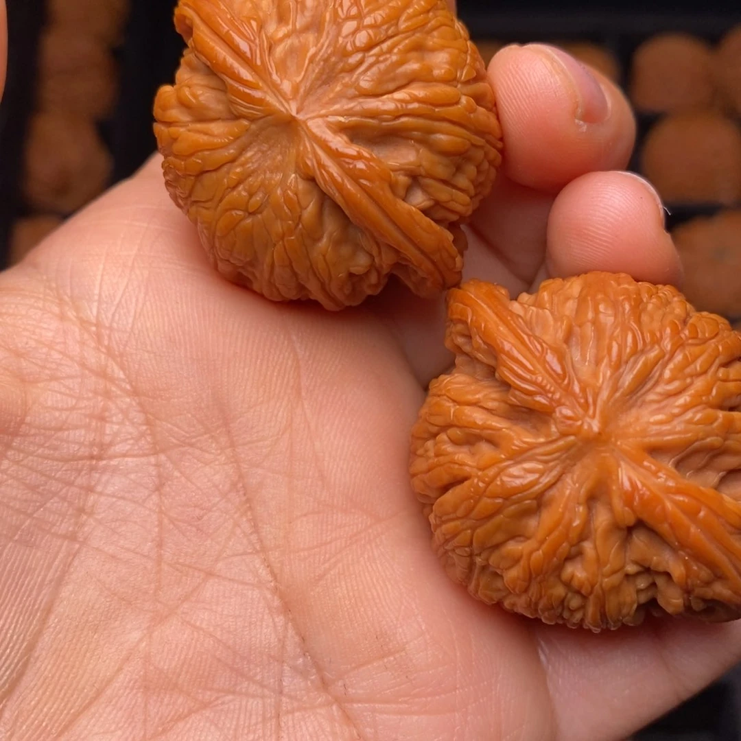 文玩核桃把件秦岭野生核桃