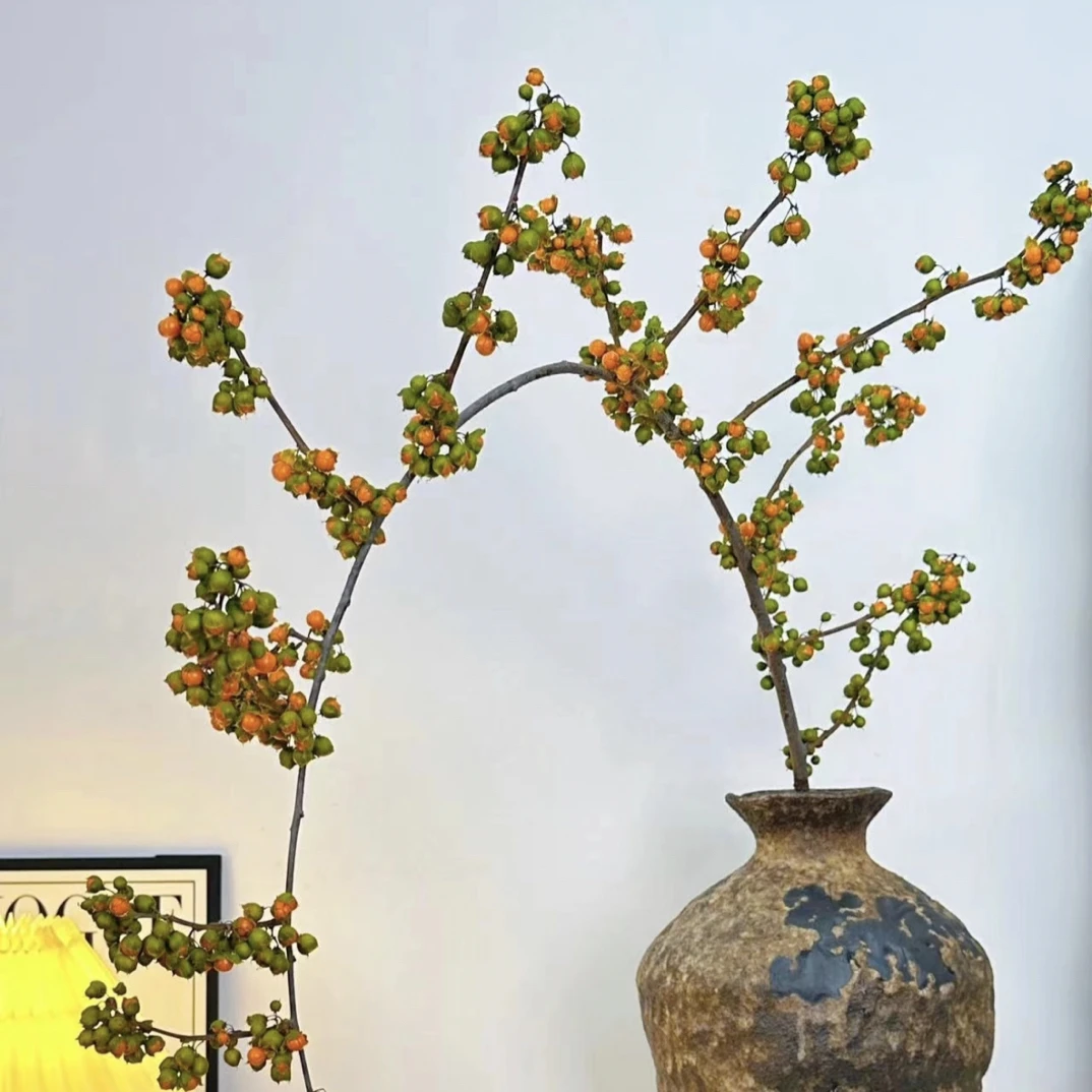 【拾忆花坊】进口南蛇藤鲜切枝水培植物室内水养花卉干花绿植鲜花