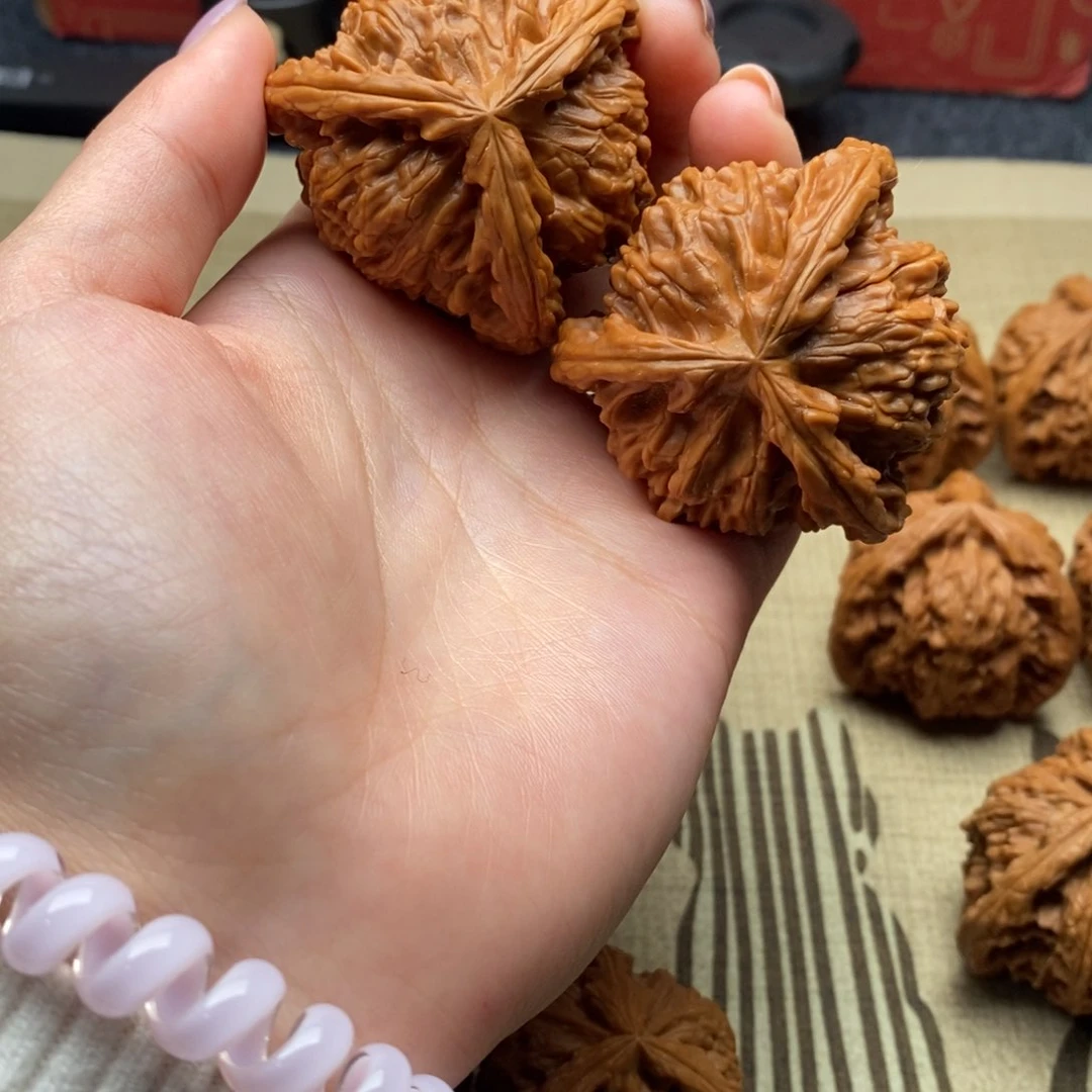 源****件白狮子11111111111111