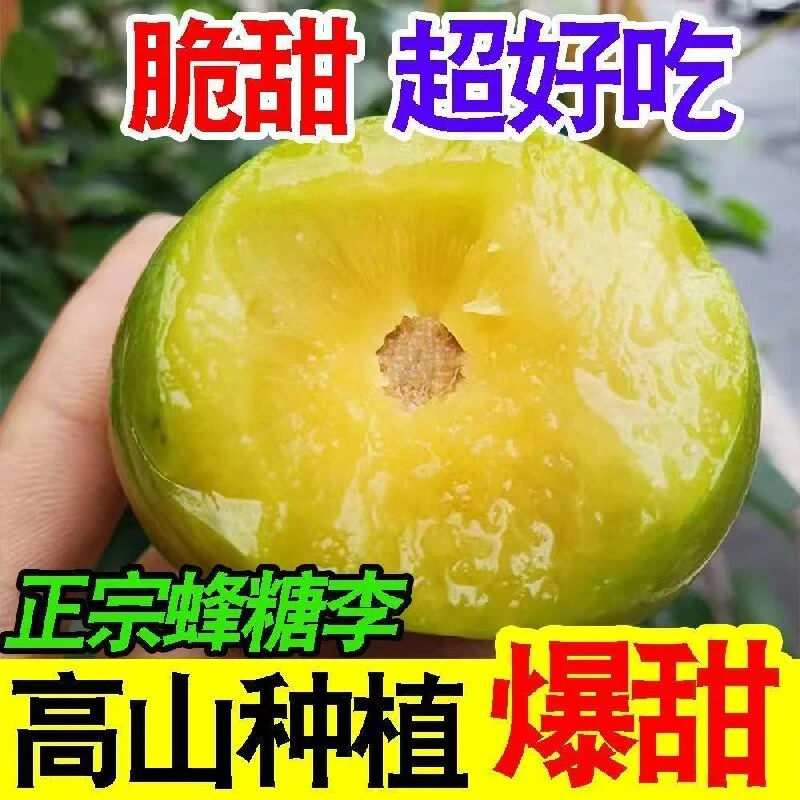 X爆甜蜂糖李脆甜皮薄当季新鲜水果贵州盛产蜂糖李之乡正宗六马蜂糖李贵州省李子同城送贵州省