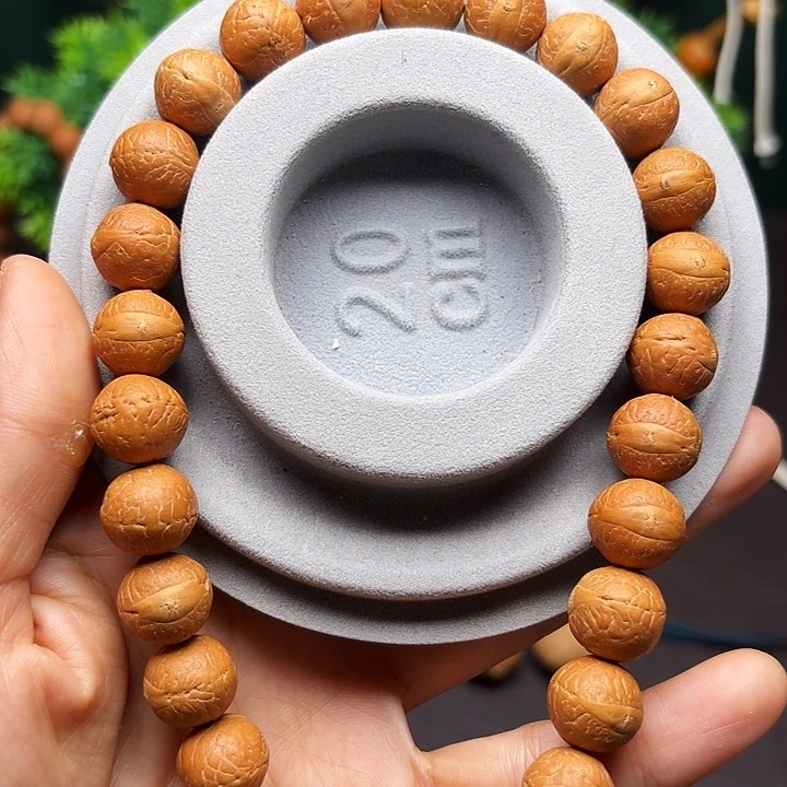 吊坠凤眼菩提凤眼菩提