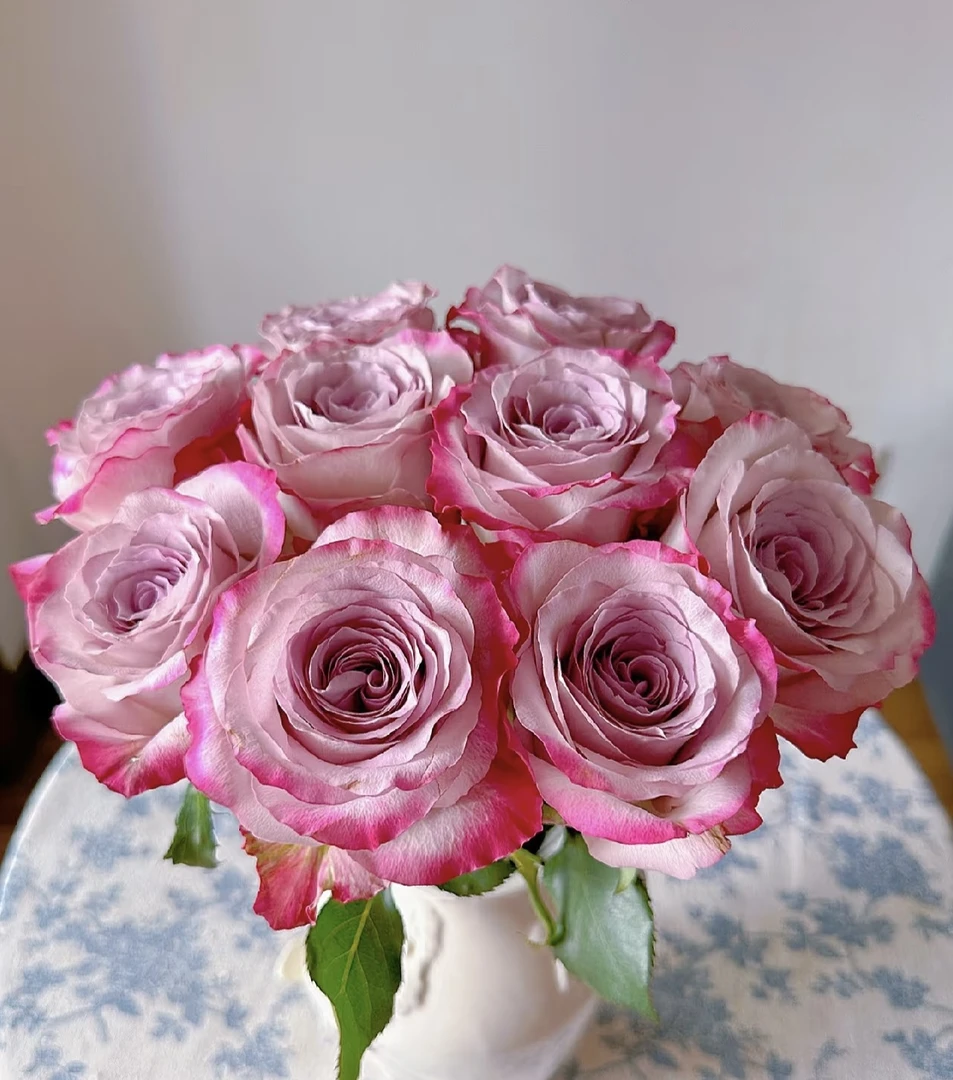 鲜花【气场玫瑰】同地址两单以上顺丰包邮送货上门+送配草1扎