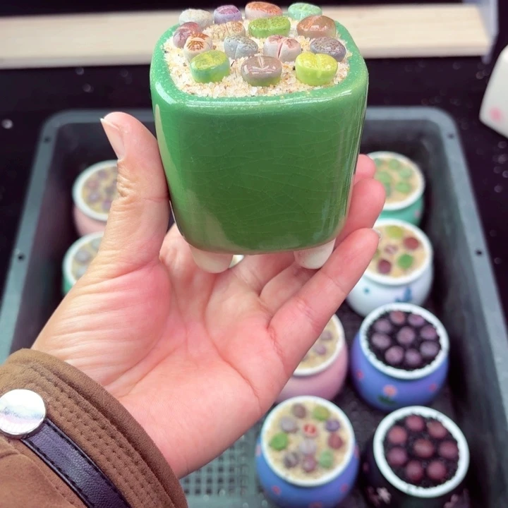 901凑满18包邮零下地区记得拍保温箱