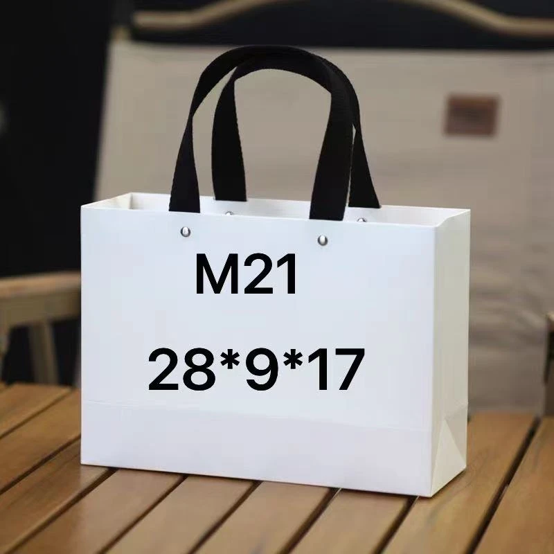 2025新款百搭腋下包M21
