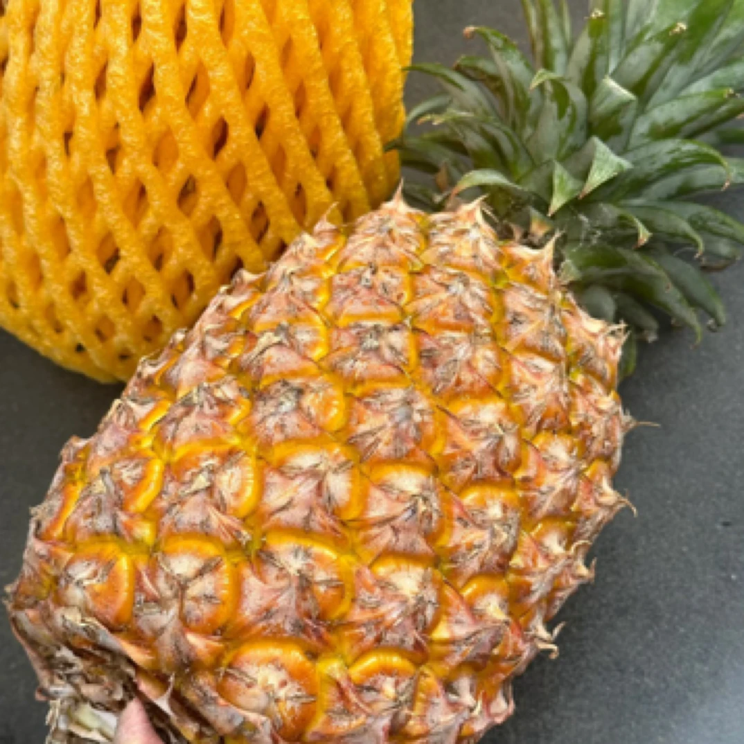 【橙柿果礼】金钻凤梨