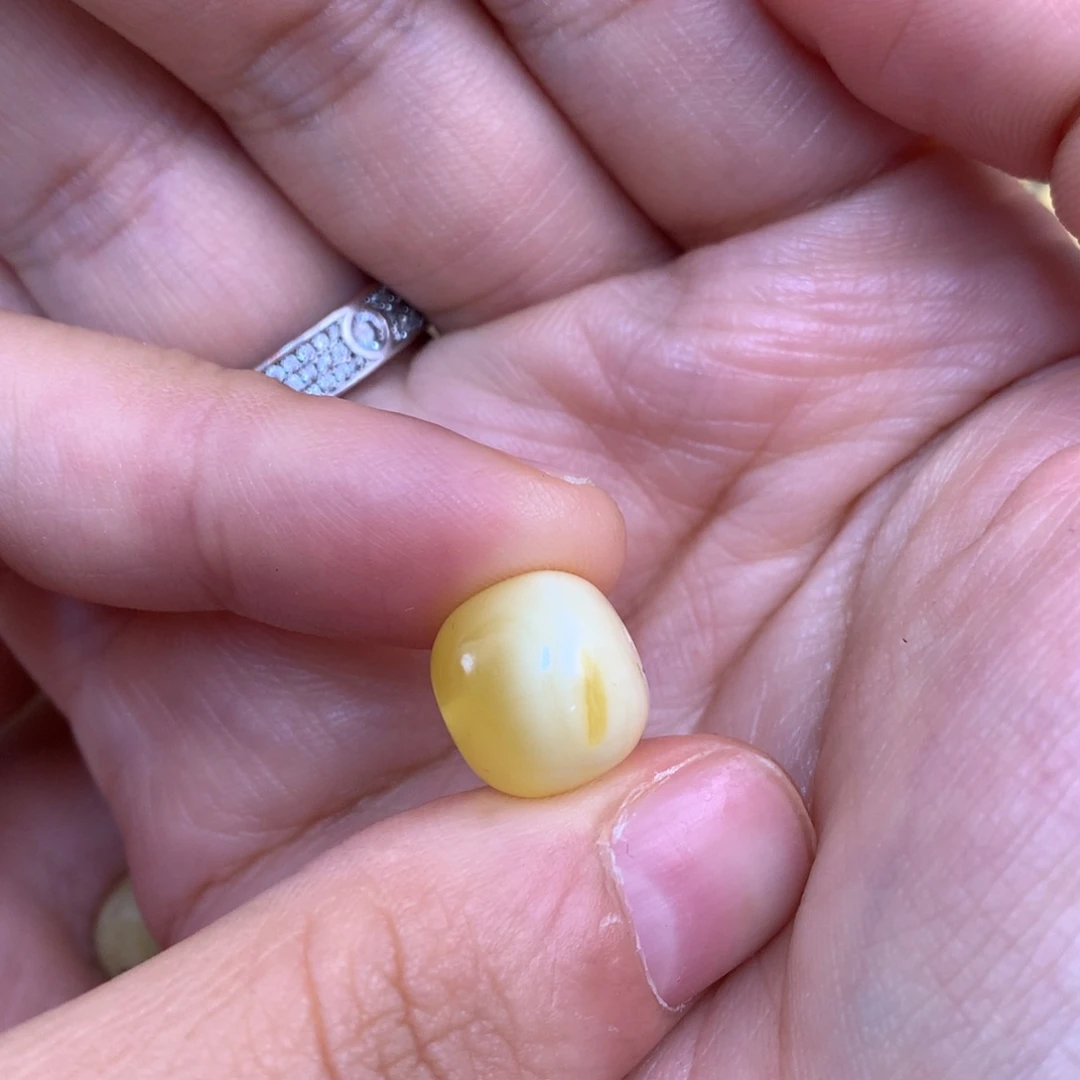 琥珀未镶嵌裸石蜜蜡12