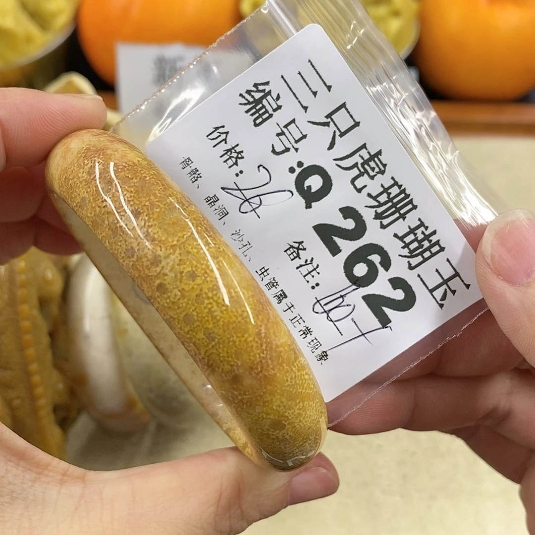 硅化珊瑚（珊瑚玉）1未镶嵌A****王