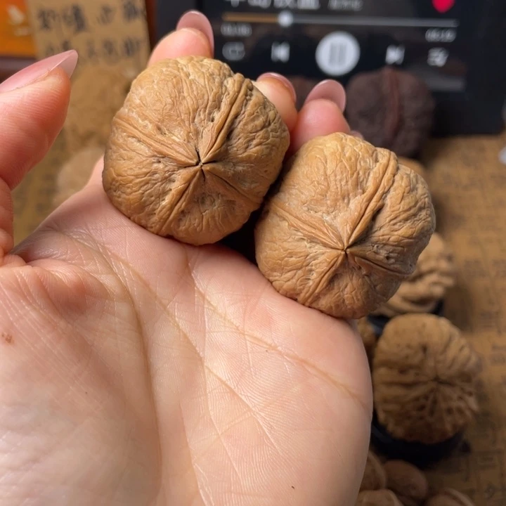 思***隹如图所示一物一拍编号26