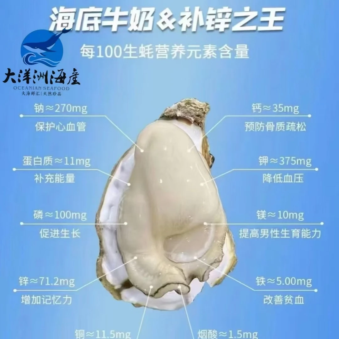 包活乳山生蚝三倍体生蚝 乳山湛江肥蚝到手7斤