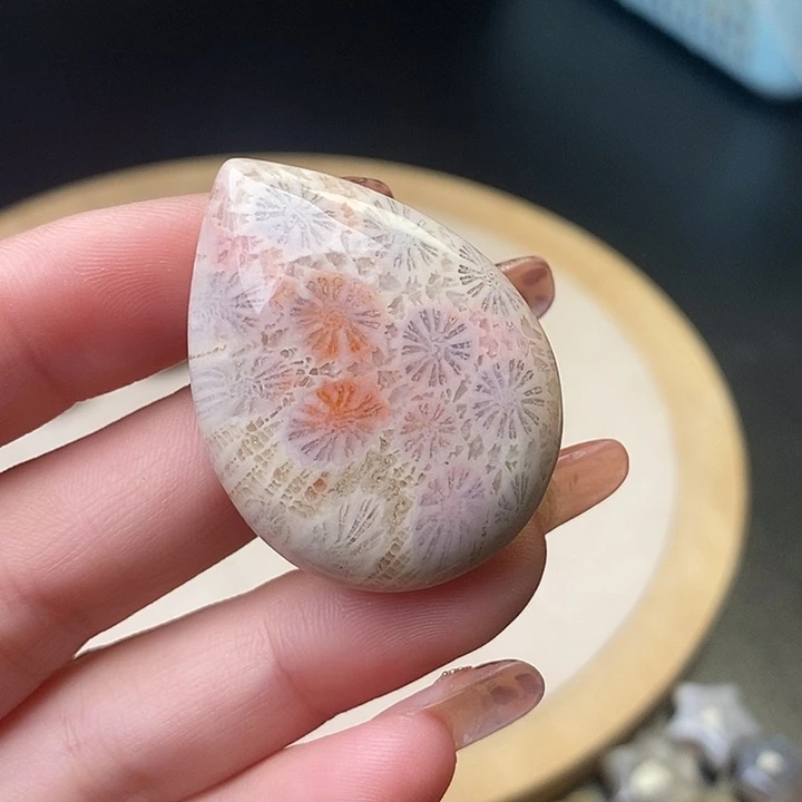 硅化珊瑚（珊瑚玉）未镶嵌颈饰