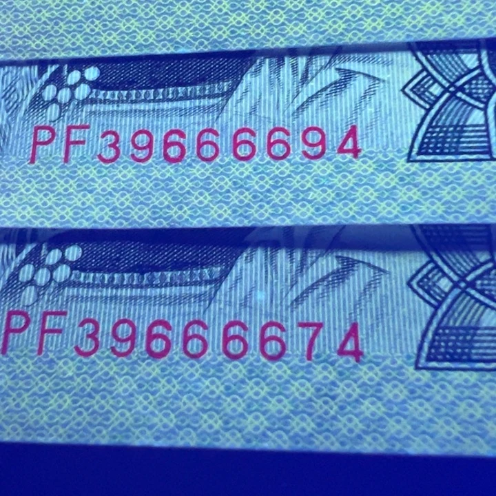 彩凤金辉特强荧光