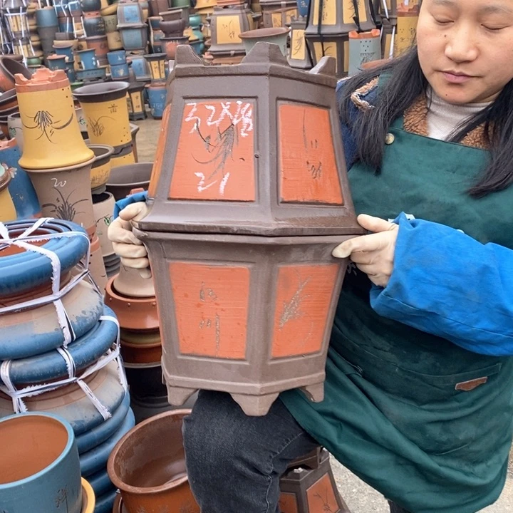 紫砂花盆盆栽花卉苗木种植