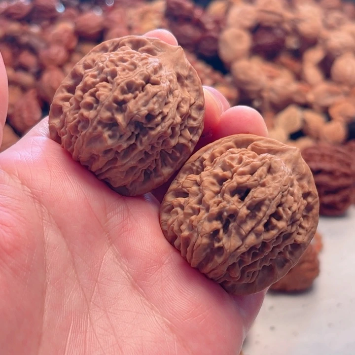 把件文玩核桃39尺寸花魁王对