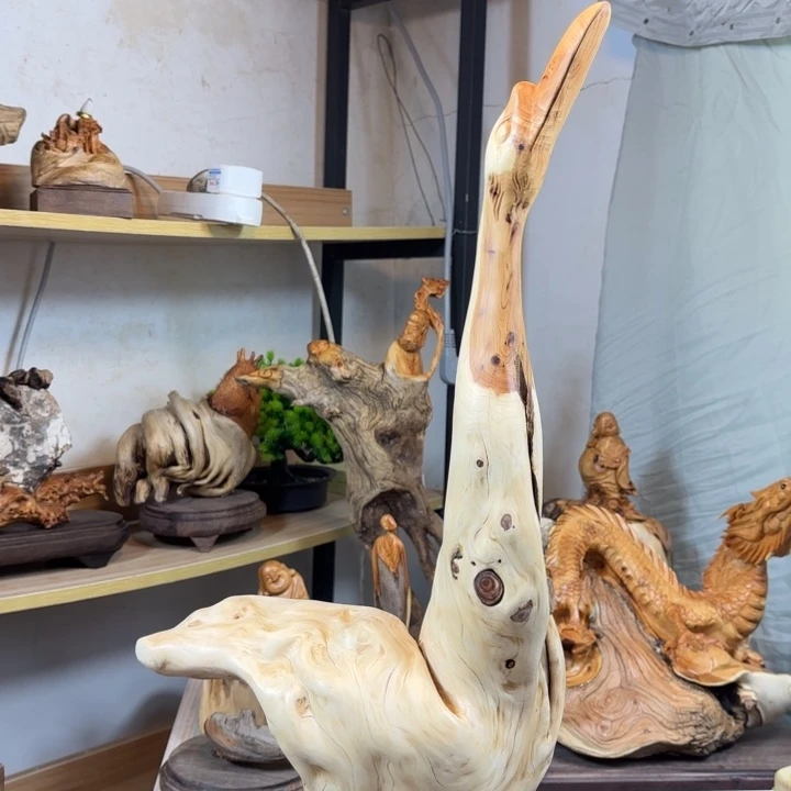 柏木（崖柏）chhghhhhjj