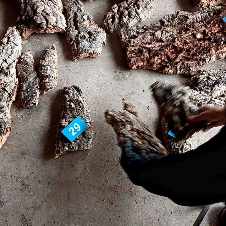 木一物一拍一物一发