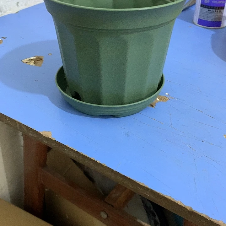 小果汀17口绿5个带托