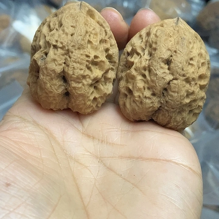 文玩核桃把件云南铁核桃基地69