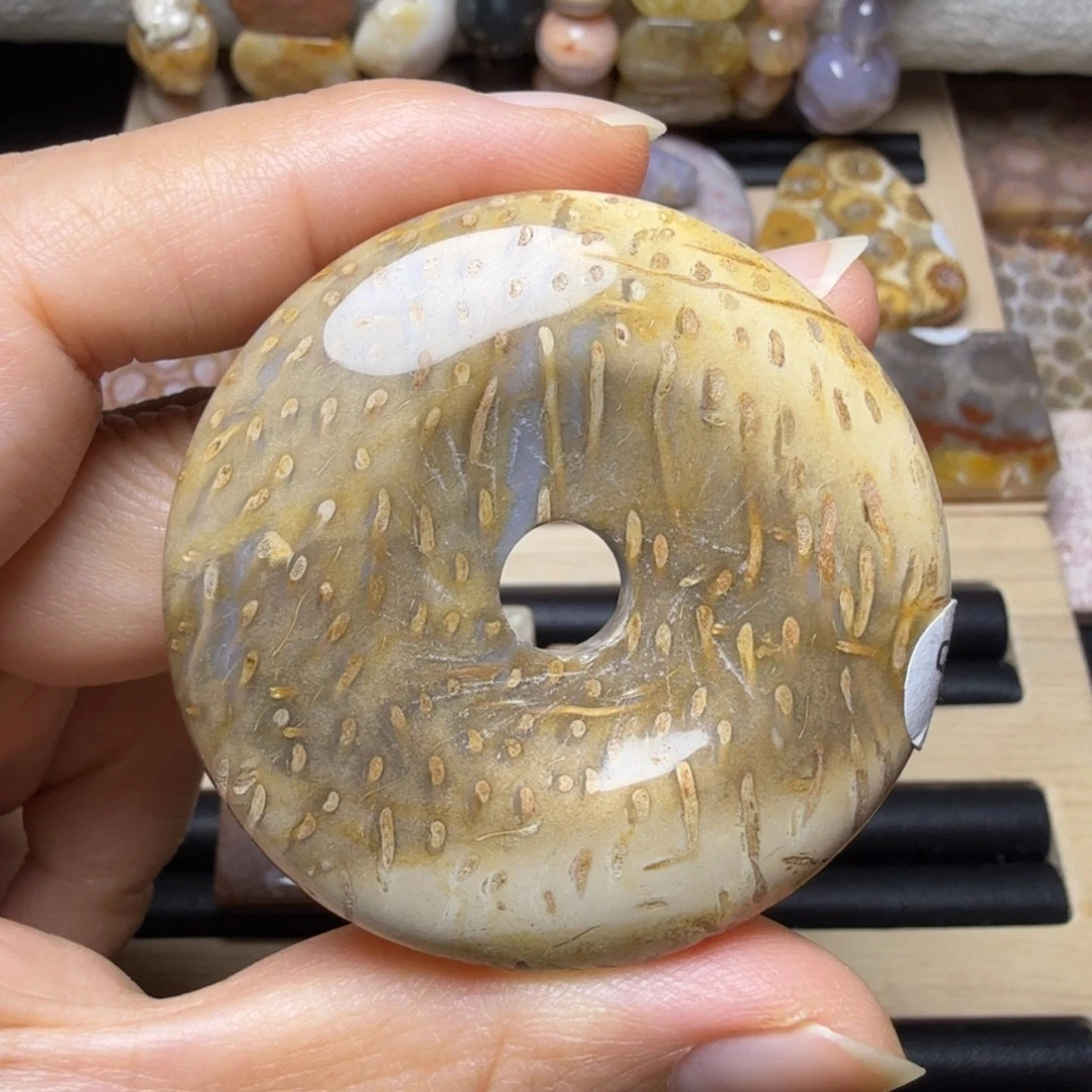 硅化木未镶嵌漫天流星，椰化玉 有瑕特价