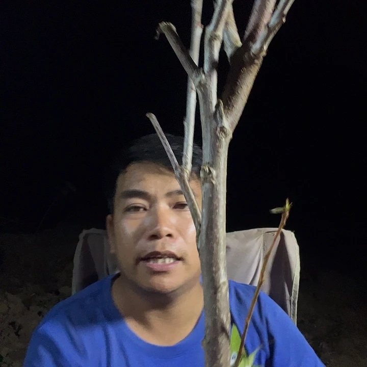 尘***埃当前无花栽培后可以开花46