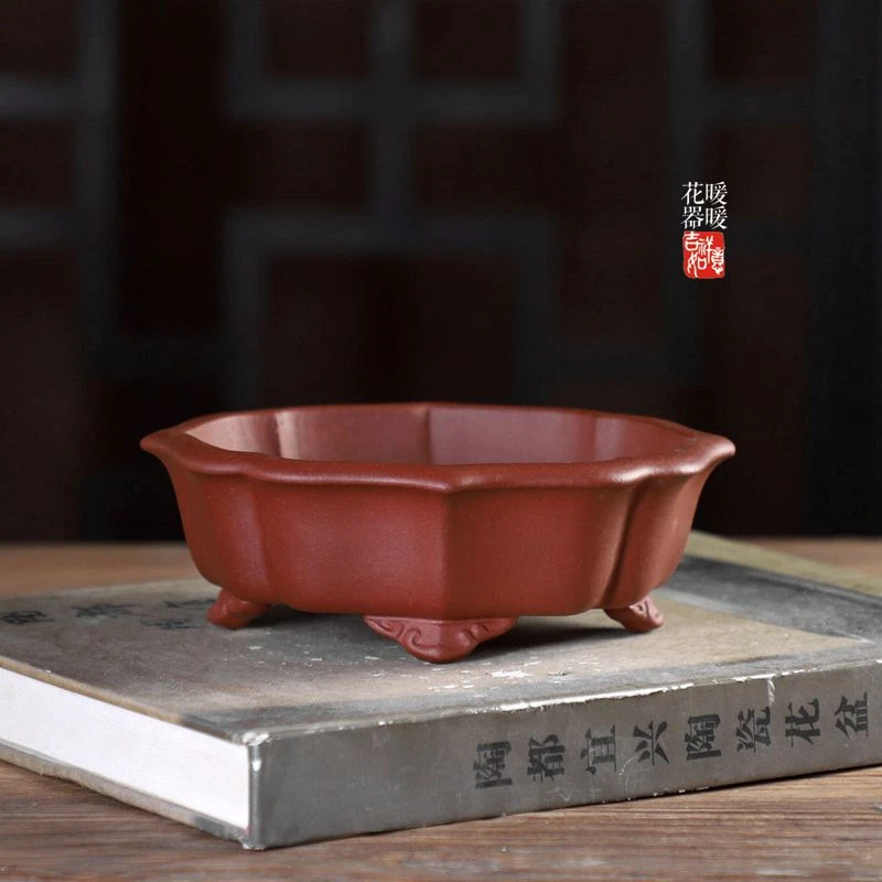 『云脚尖菱花』暖暖精选手工紫砂小花盆高档绿植盆景盆蒋红翠