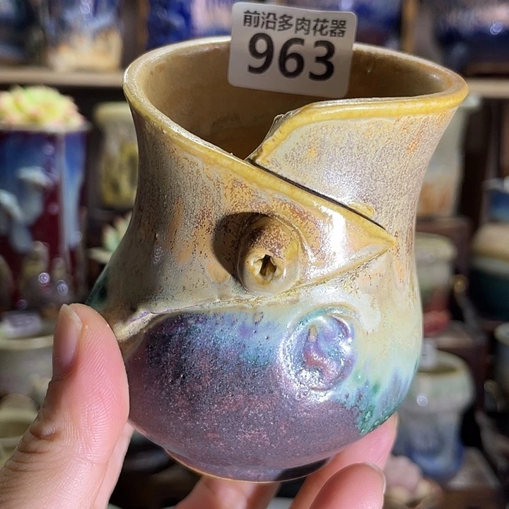 狼盆内口径6高度9