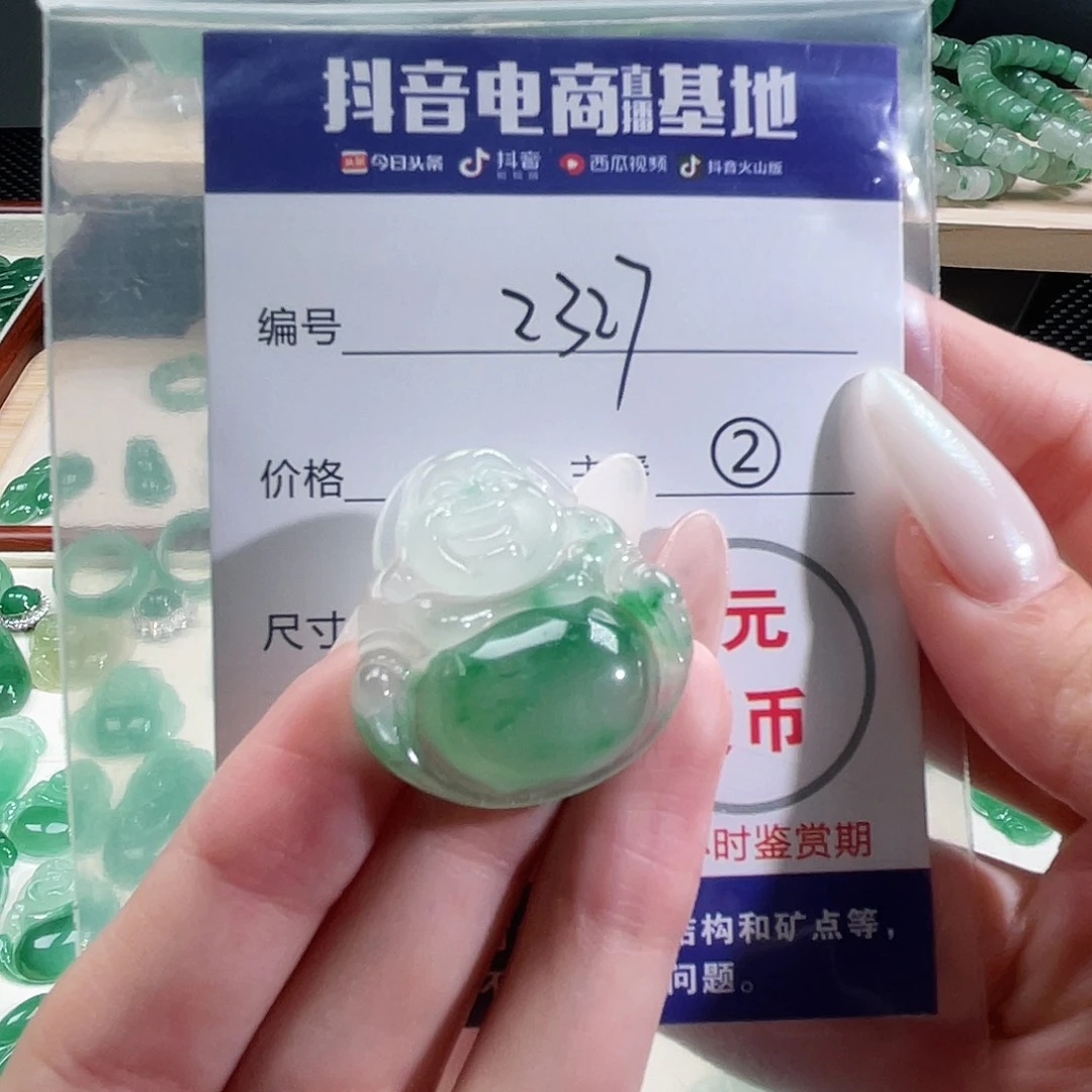 石英质玉未镶嵌颈饰