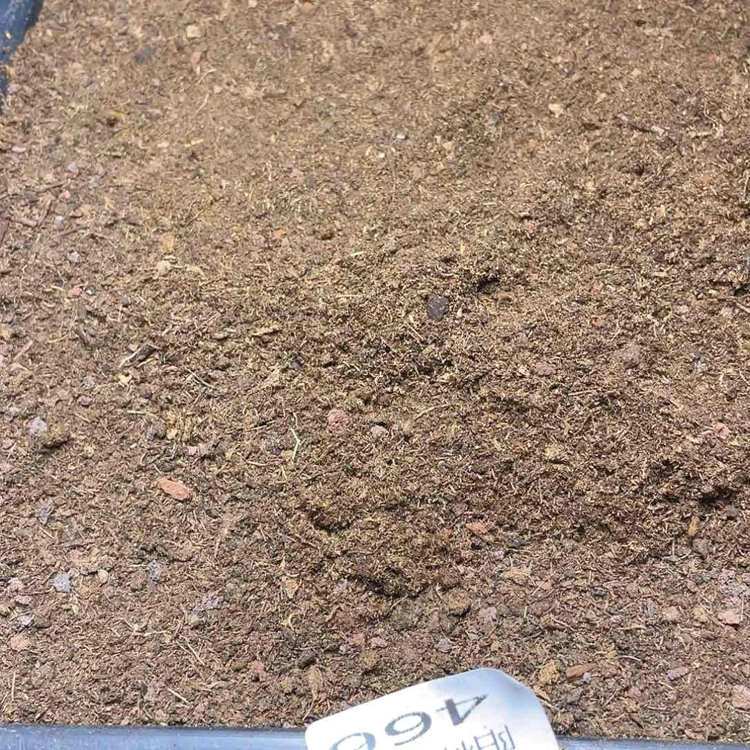 量拍多肉植物土一筐466