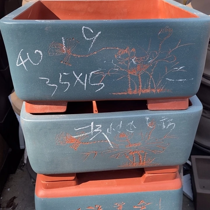 紫砂花盆只顾自己不敢面对