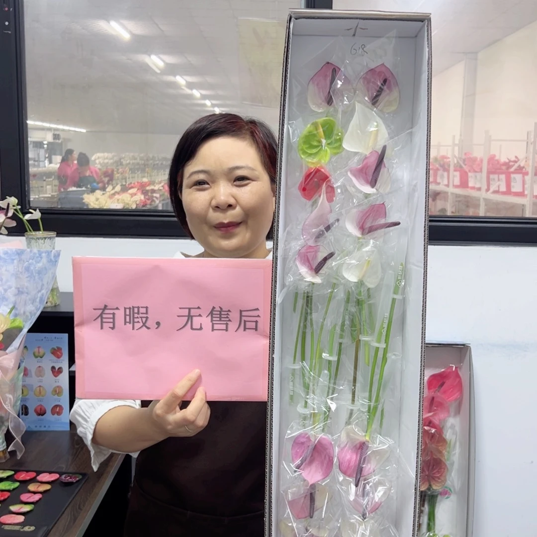 完全开放混色20枝迷你无售后款618