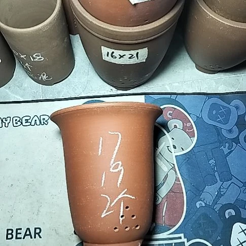 红泥小金钟两个花盆