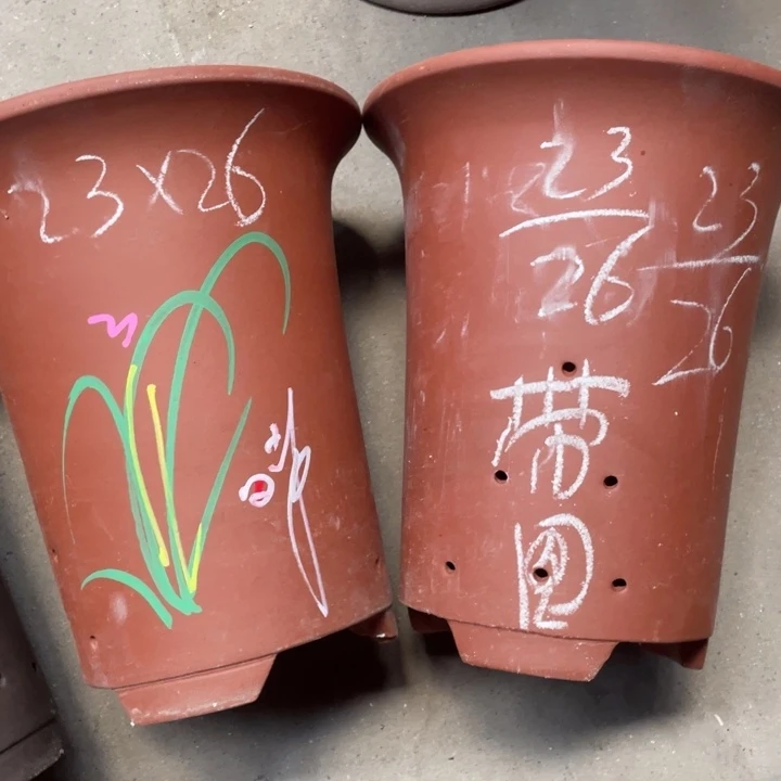 周深周深周深周深周深